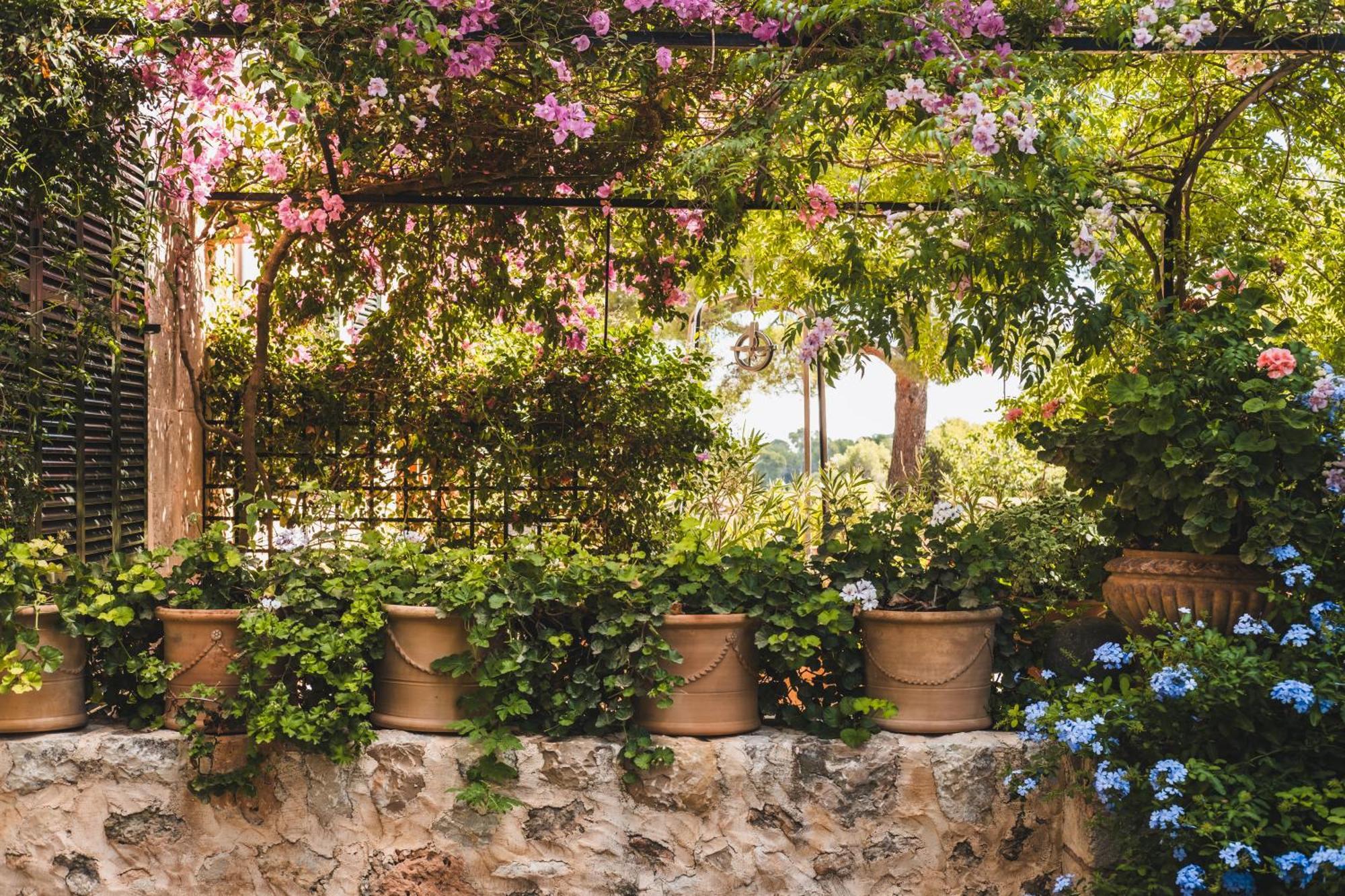 Oliver Moragues Grandhouse & Vineyard Algaida  Exterior foto
